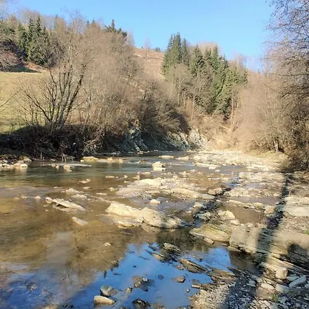 вудхарт2 Ясиня