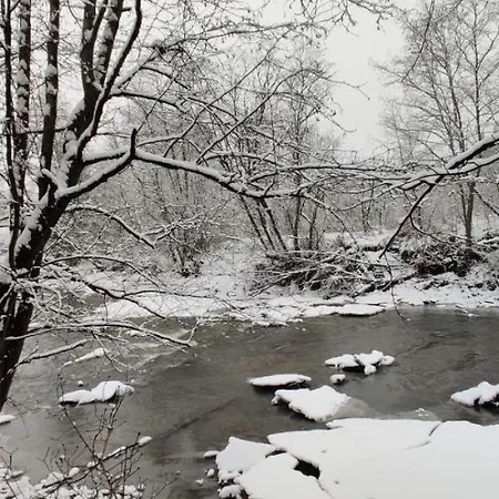 вудхарт2 * Yasinya