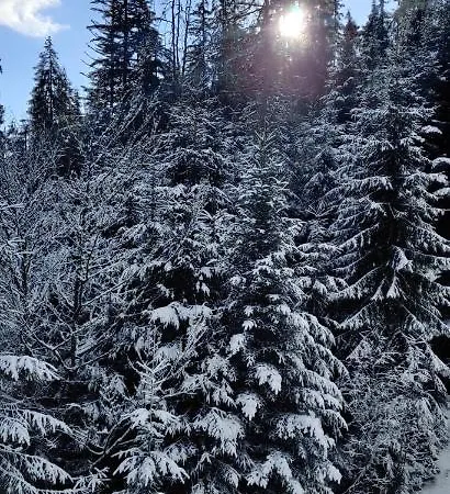 Appartement вудхарт2 *