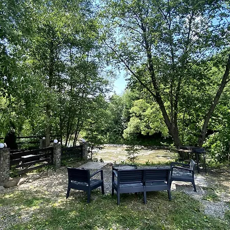 вудхарт2 Ясиня