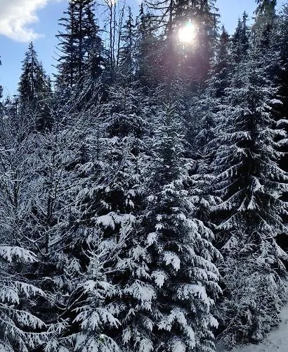 Апартаменты вудхарт2 *